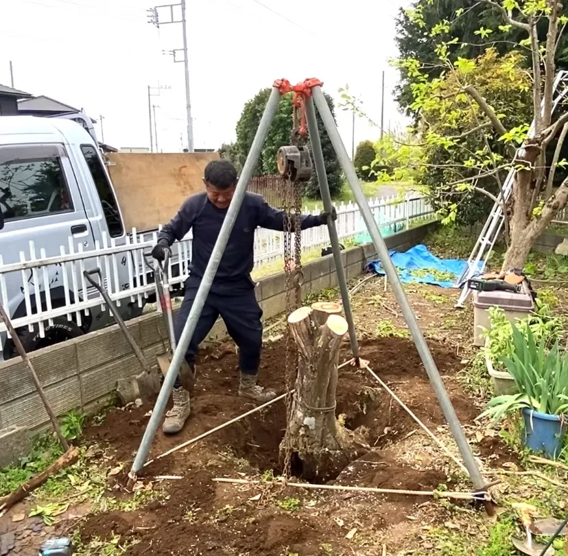 抜根のご依頼【千葉市|植木屋かりす】