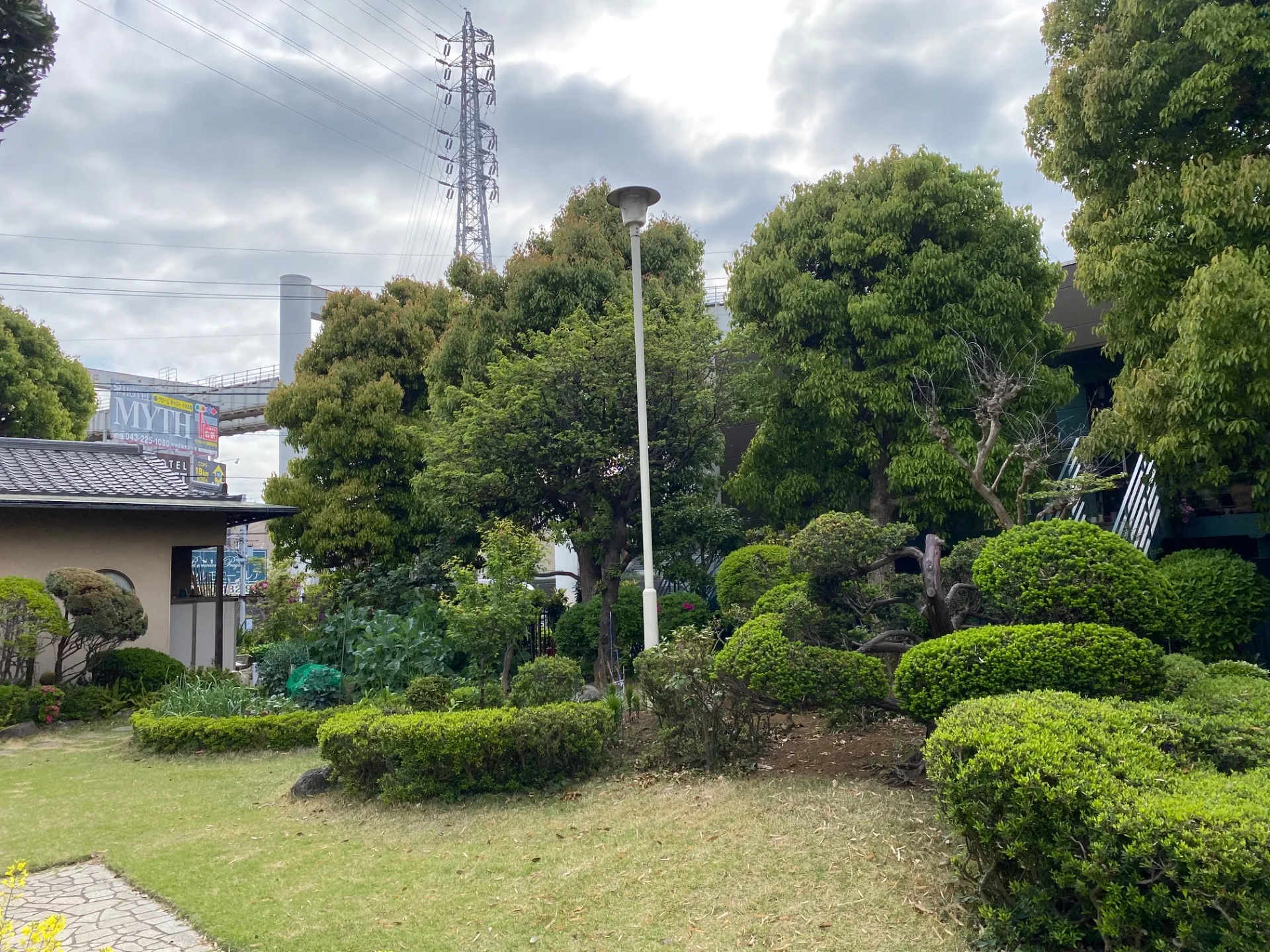 クスノキの剪定【千葉市|植木屋かりす】