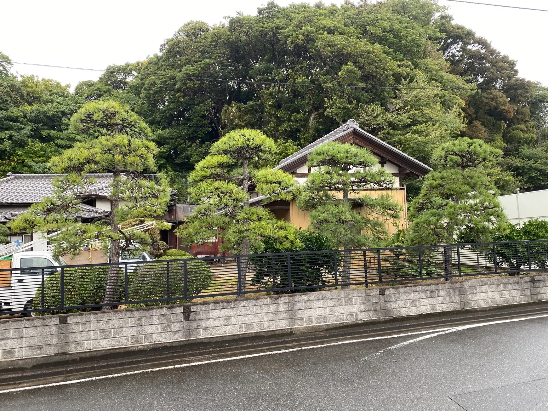 千葉市|植木屋|かりす(刈好)